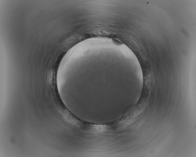 X0000111380233200908071241