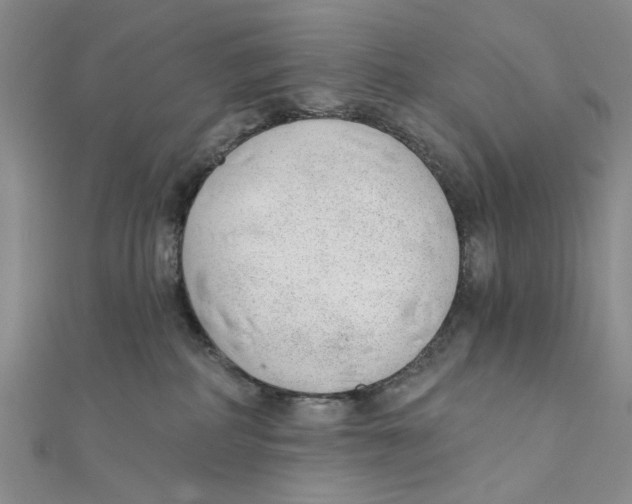 X0000111380234200908071241