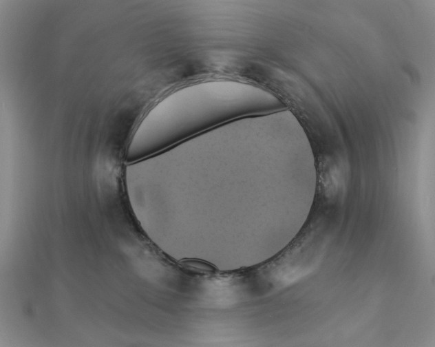 X0000111380235200908071241