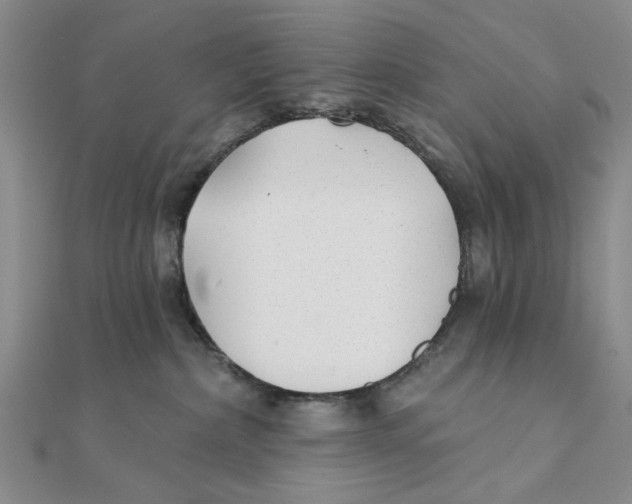 X0000111380236200908071241