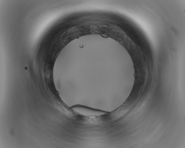 X0000111380239200908071241