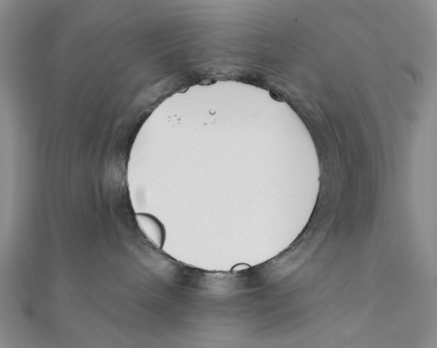 X0000111380240200908071241