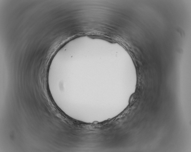 X0000111380241200908071240