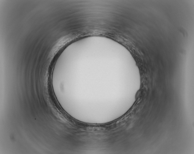 X0000111380242200908071240