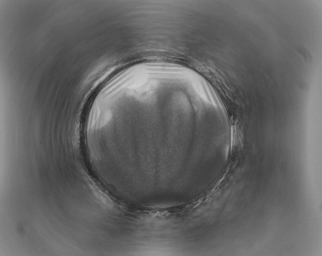 X0000111380243200908071240