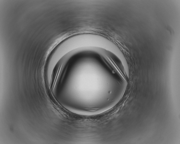 X0000111380244200908071240