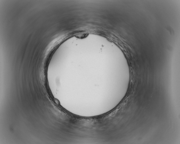 X0000111380245200908071240