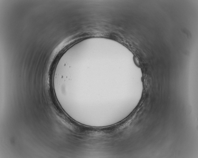 X0000111380246200908071240