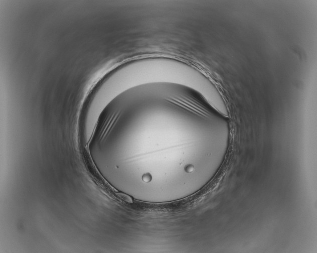 X0000111380248200908071240