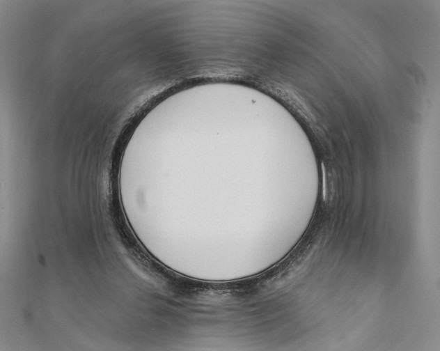 X0000111380252200908071241