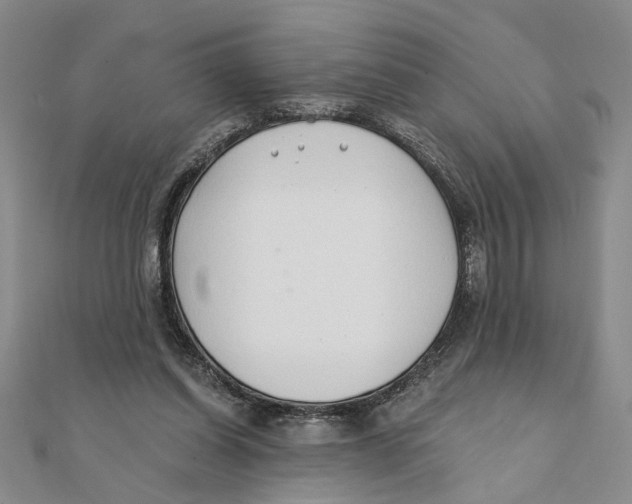 X0000111380254200908071241