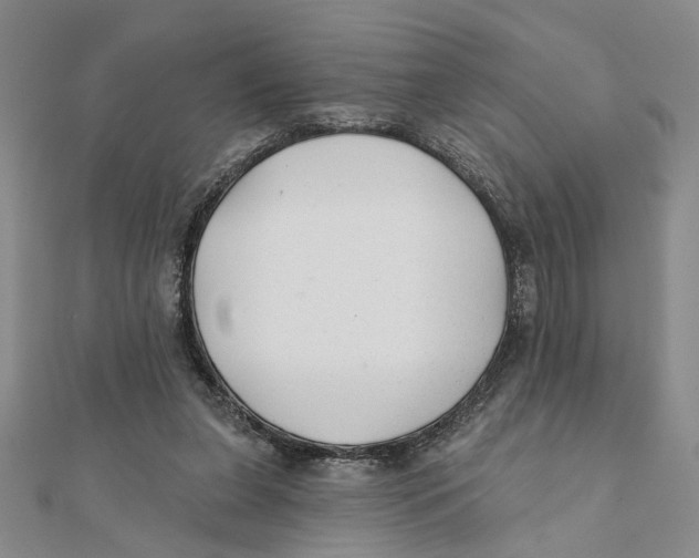 X0000111380255200908071241