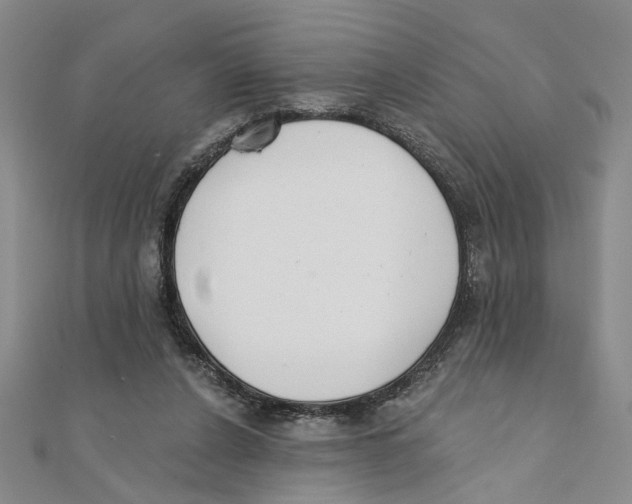 X0000111380256200908071241