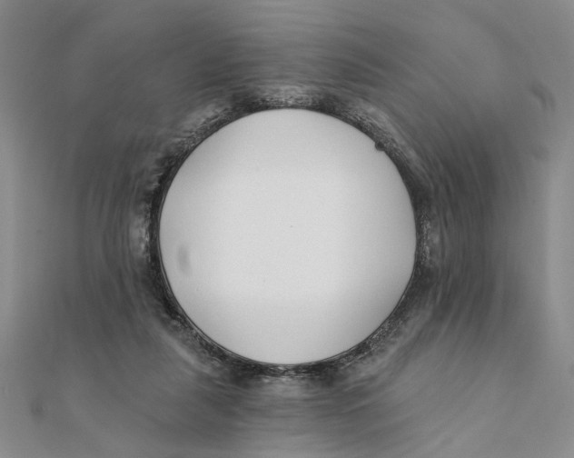 X0000111380259200908071241