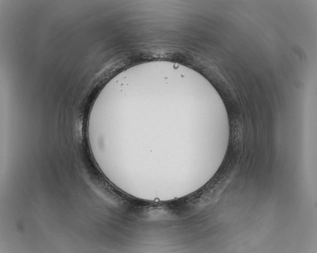 X0000111380262200908071241