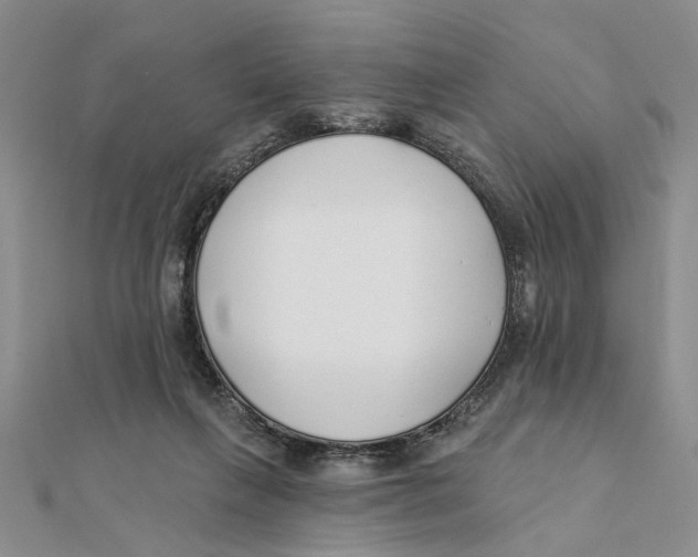 X0000111380263200908071241