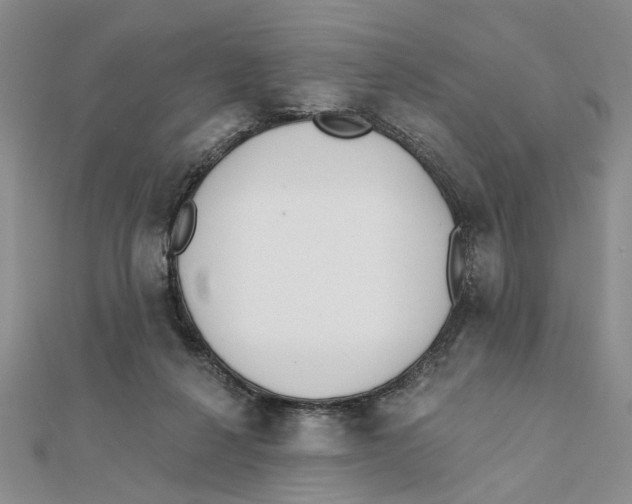 X0000111380264200908071241