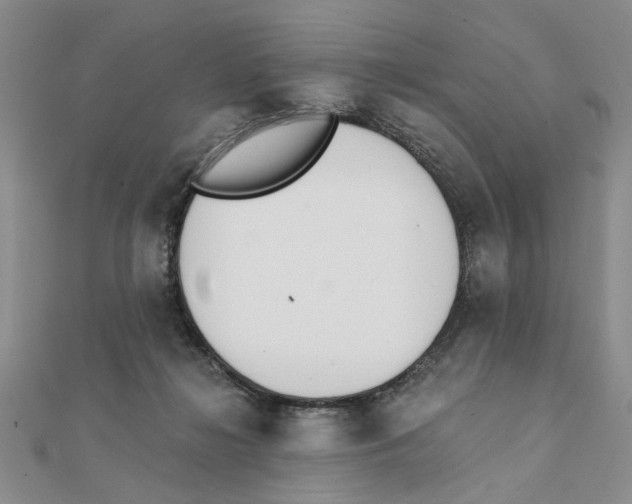 X0000111380268200908071241