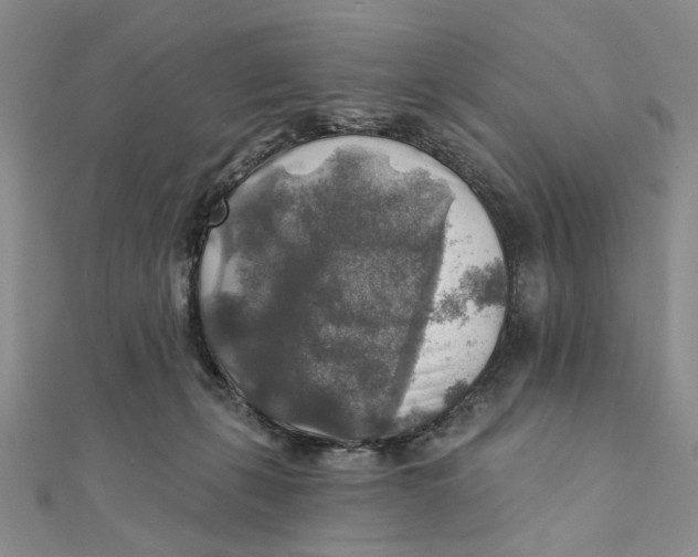 X0000111380271200908071241