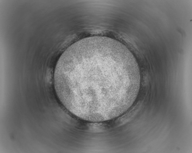 X0000111380273200908071241