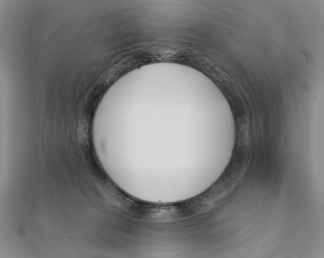 X0000111380274200908071241