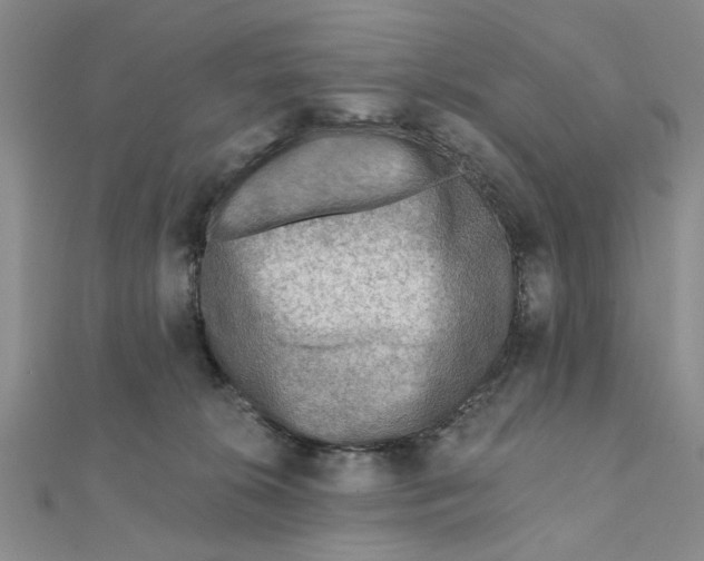 X0000111380276200908071241