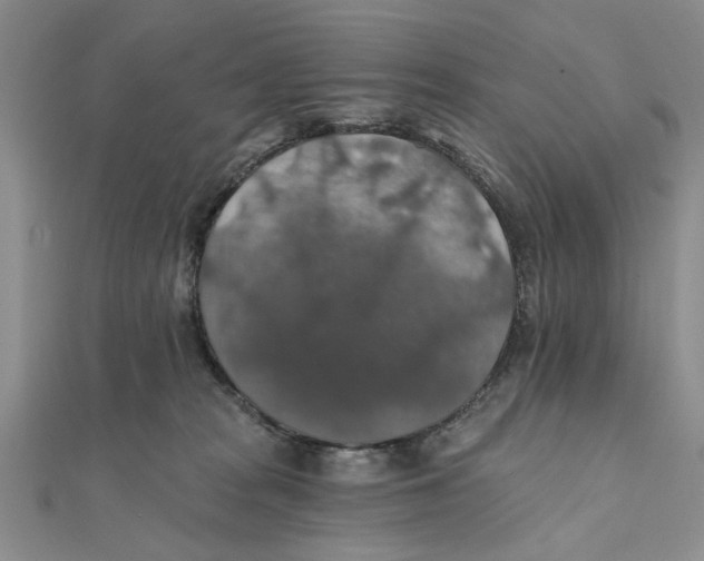 X0000111380277200908071241