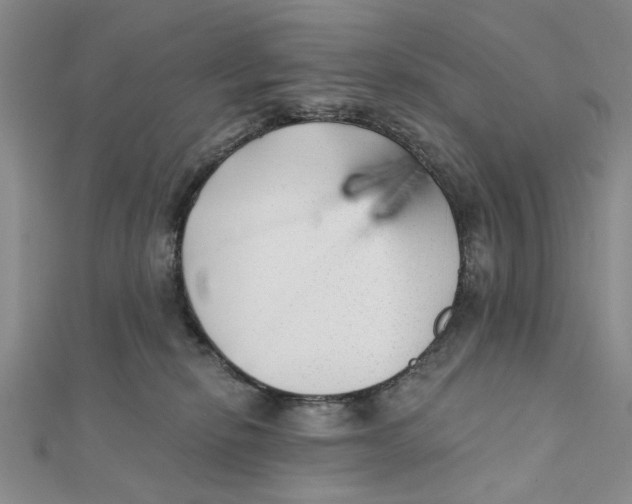 X0000111380278200908071241