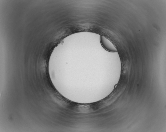 X0000111380279200908071241