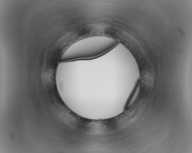 X0000111380280200908071241