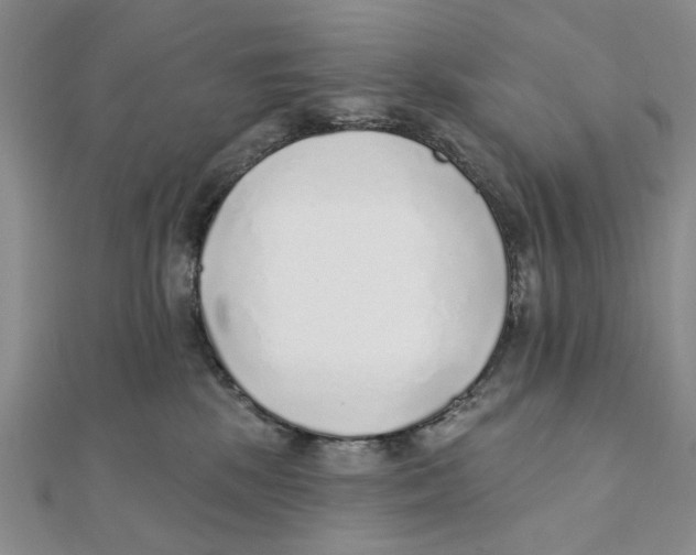 X0000111380281200908071241