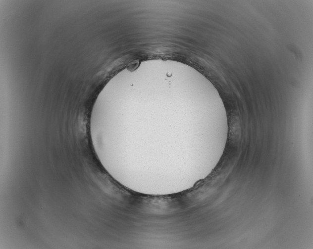 X0000111380282200908071241