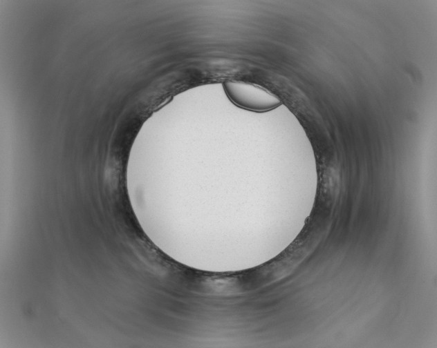 X0000111380283200908071241