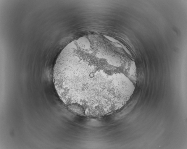 X0000111380285200908071241