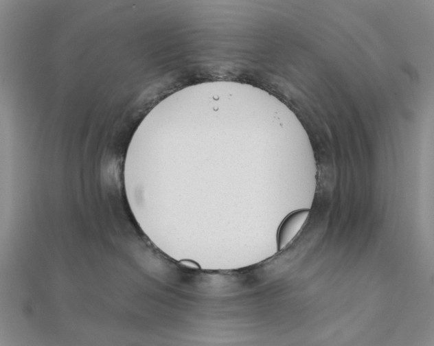 X0000111380286200908071241