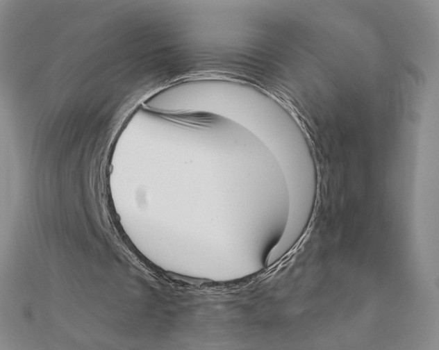 X0000111380289200908071240