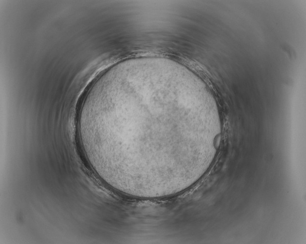 X0000111380290200908071240