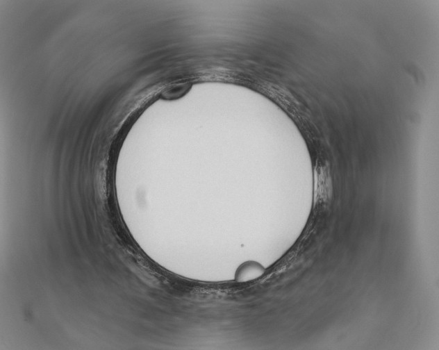 X0000111380291200908071240