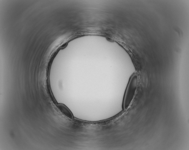 X0000111380293200908071240