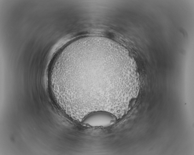 X0000111380294200908071240