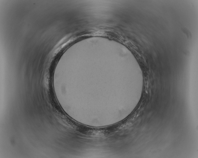 X0000111380295200908071240