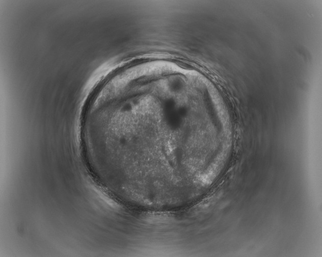 X0000111380296200908071240