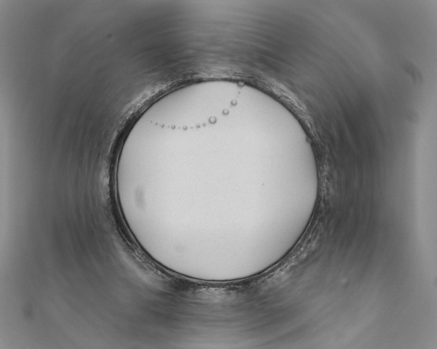 X0000111380298200908071240