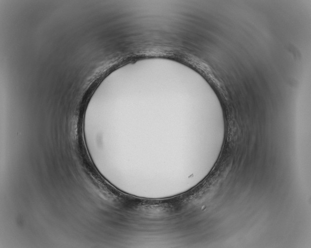 X0000111380299200908071240