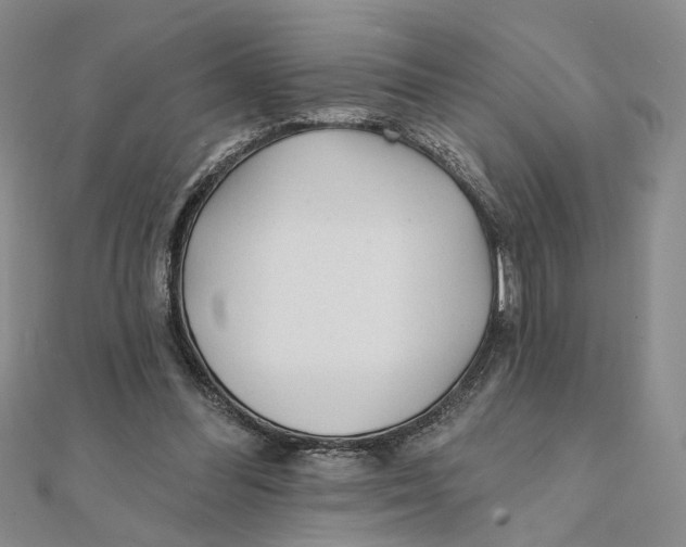 X0000111380300200908071240