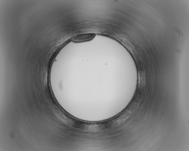 X0000111380301200908071240