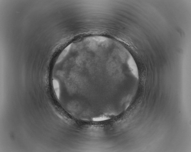 X0000111380303200908071240