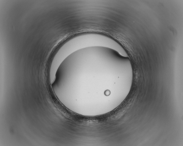 X0000111380304200908071240