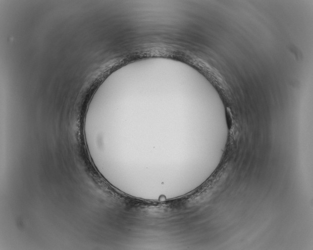 X0000111380306200908071240