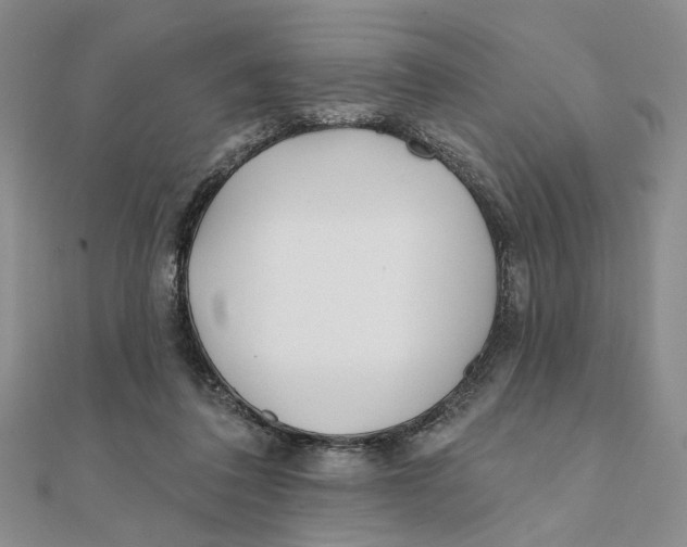 X0000111380308200908071240